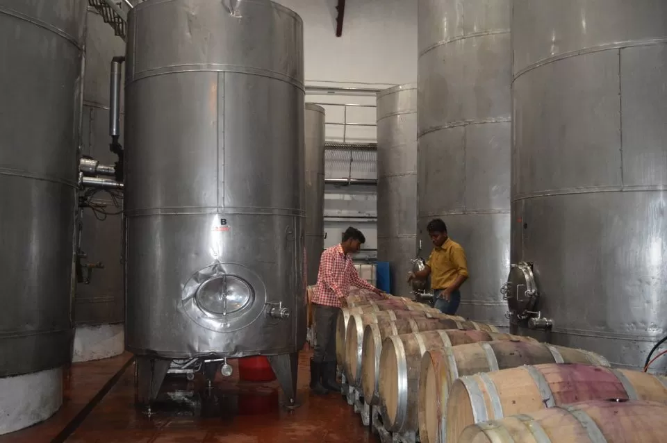 Photo of Sula Vineyards, Nashik, Maharashtra, India by kvshah