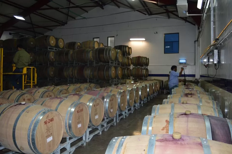 Photo of Sula Vineyards, Nashik, Maharashtra, India by kvshah