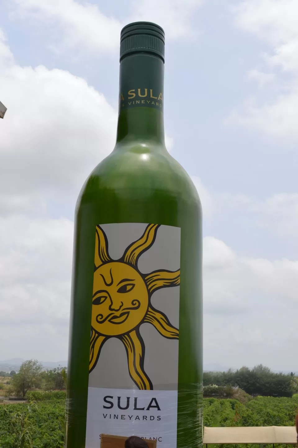 Photo of Sula Vineyards, Nashik, Maharashtra, India by kvshah