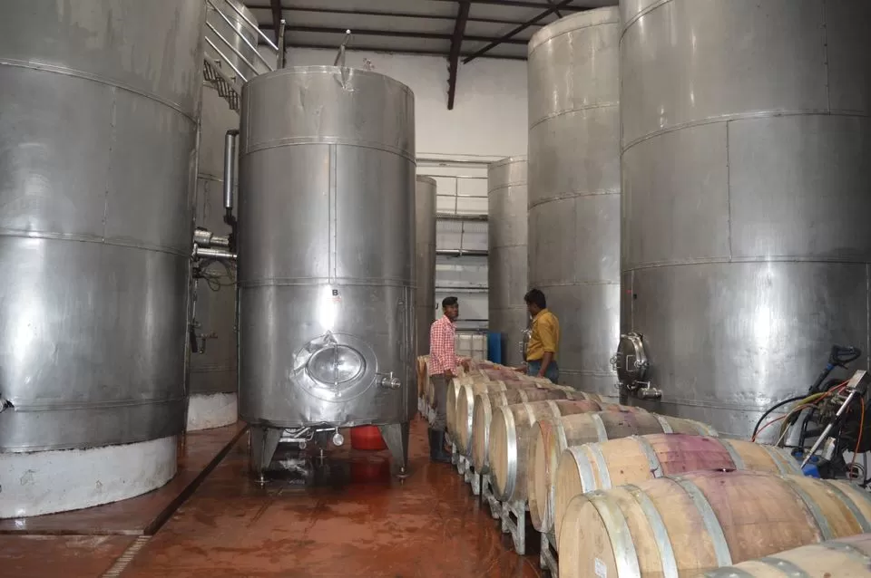 Photo of Sula Vineyards, Nashik, Maharashtra, India by kvshah