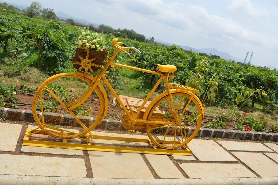 Photo of Sula Vineyards, Nashik, Maharashtra, India by kvshah