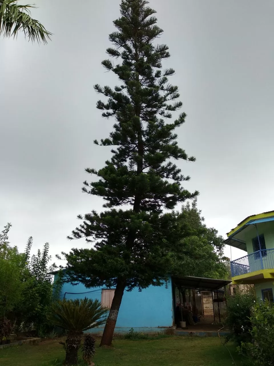 Photo of Step Garden, Table Land Road, Saputara, Gujarat, India by kvshah