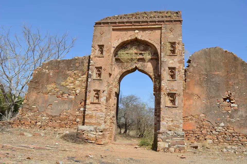 Photo of Chittorgarh Fort, Chittorgarh, Rajasthan, India by kvshah