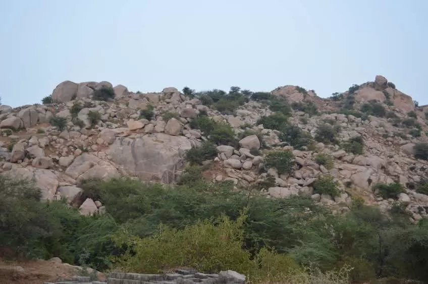 Photo of Idar, Gujarat, India by kvshah