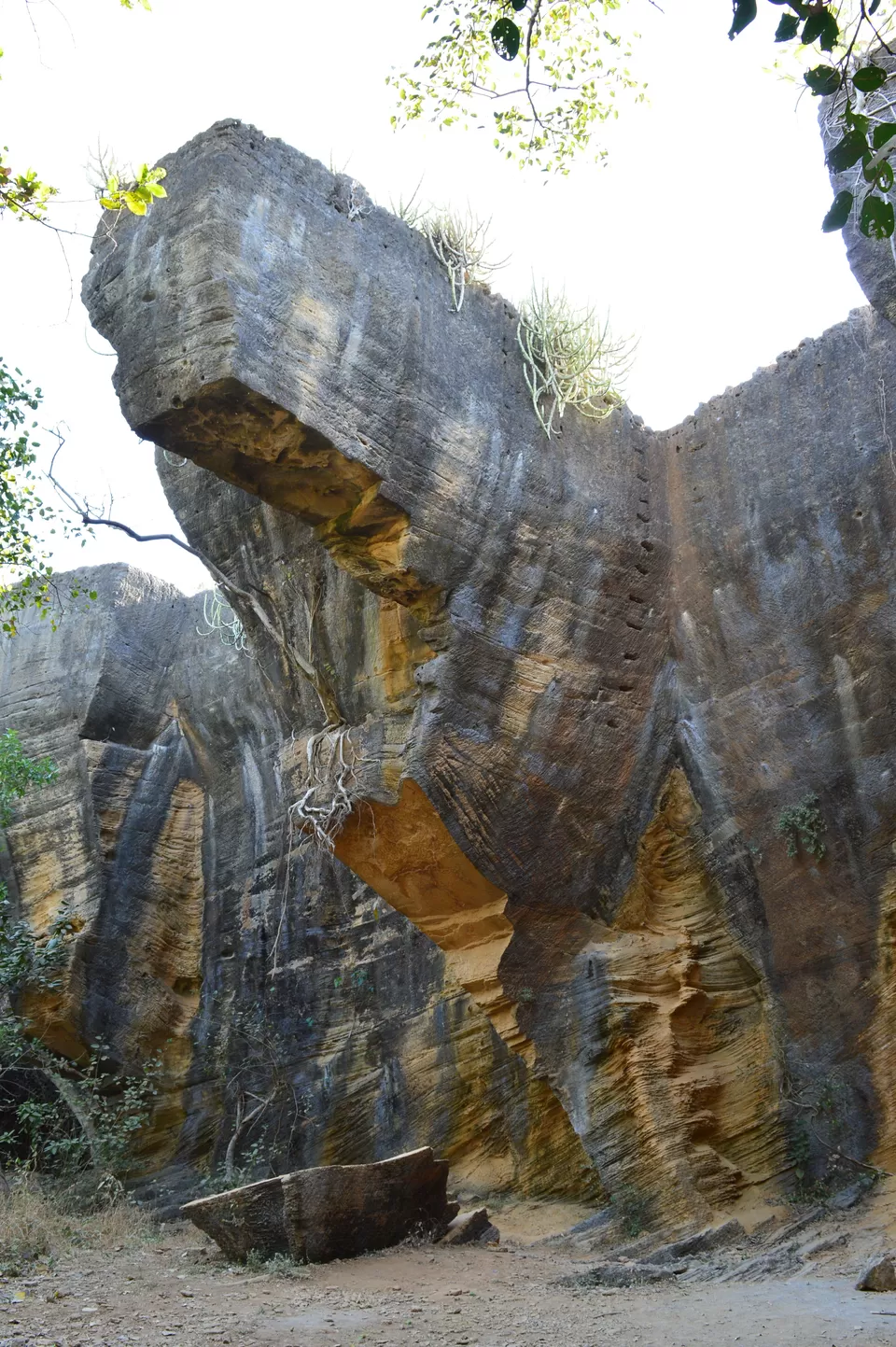 Photo of Naida Caves, Diu, Daman and Diu, India by kvshah
