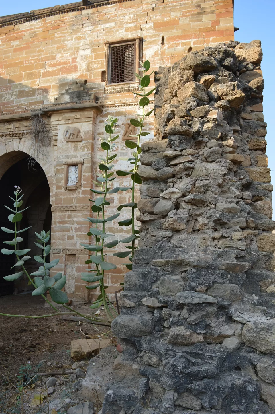 Photo of Tera, Gujarat, India by kvshah