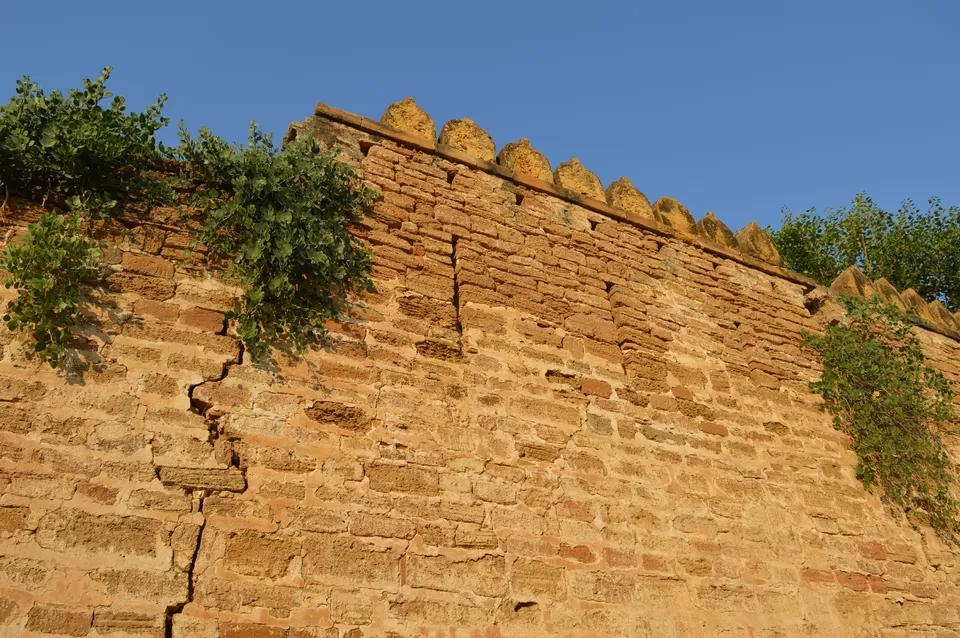 Photo of Tera, Gujarat, India by kvshah