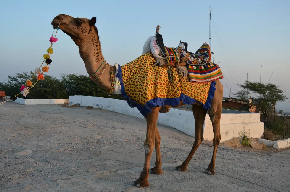 Photo of Kalo Dungar, Gujarat by kvshah