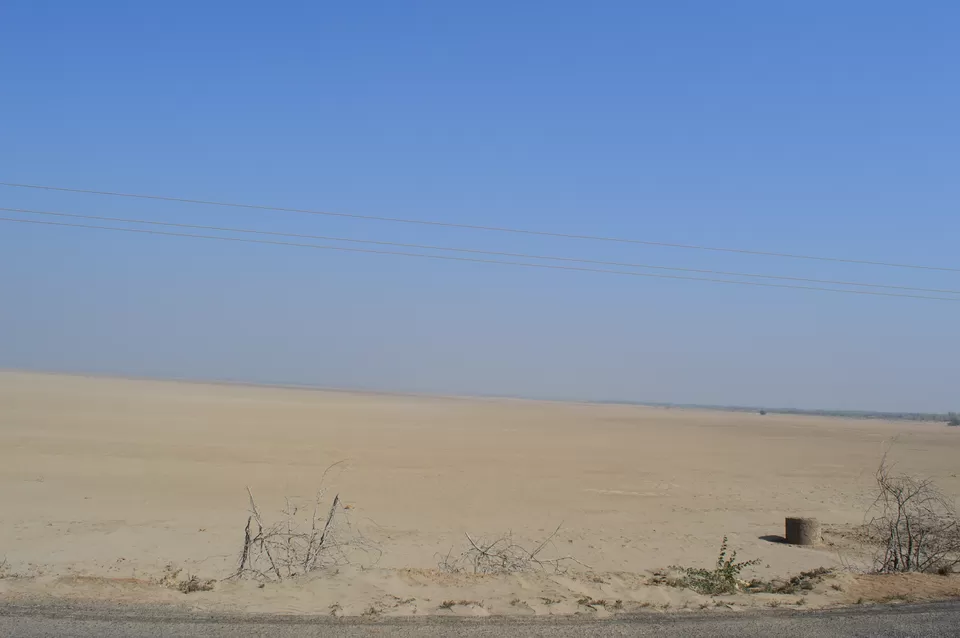 Photo of White Dessert Road, Dhordo, Gujarat, India by kvshah
