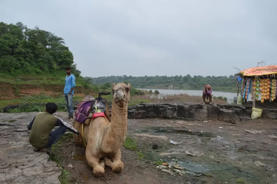 Photo of Zanzari Waterfall, Dabha, Gujarat, India by kvshah