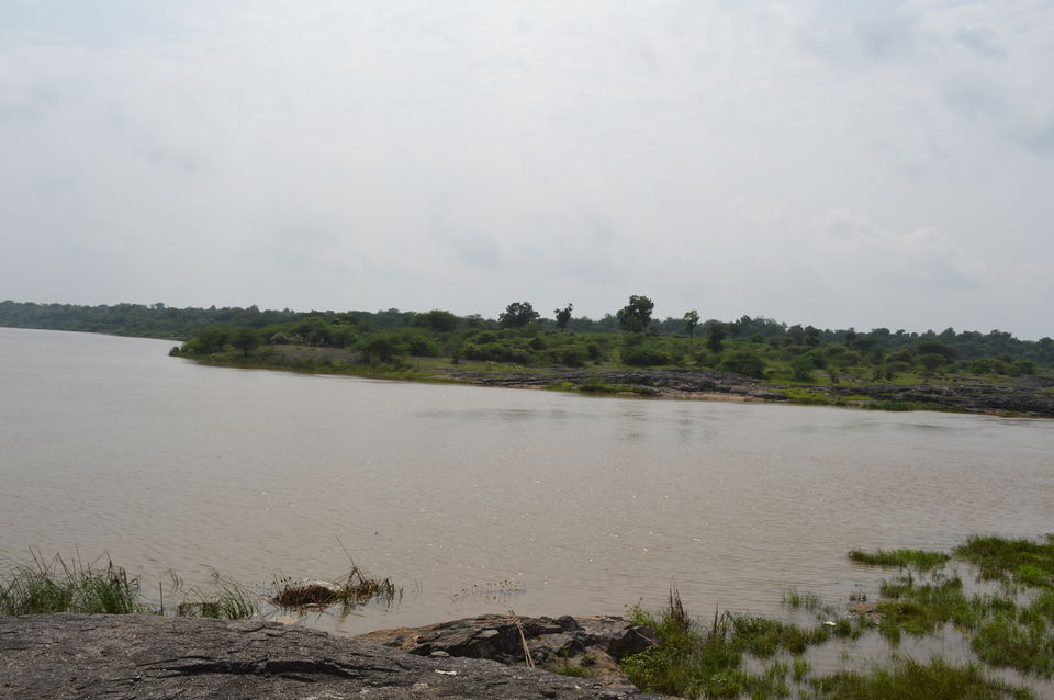Monsoon season only WATERFALL Zanazari , Gujarat Tripoto