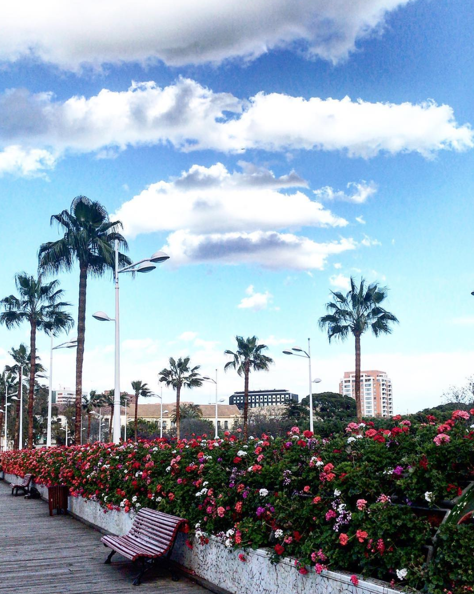Photo of Valencia, Spain by Sana Mahajan
