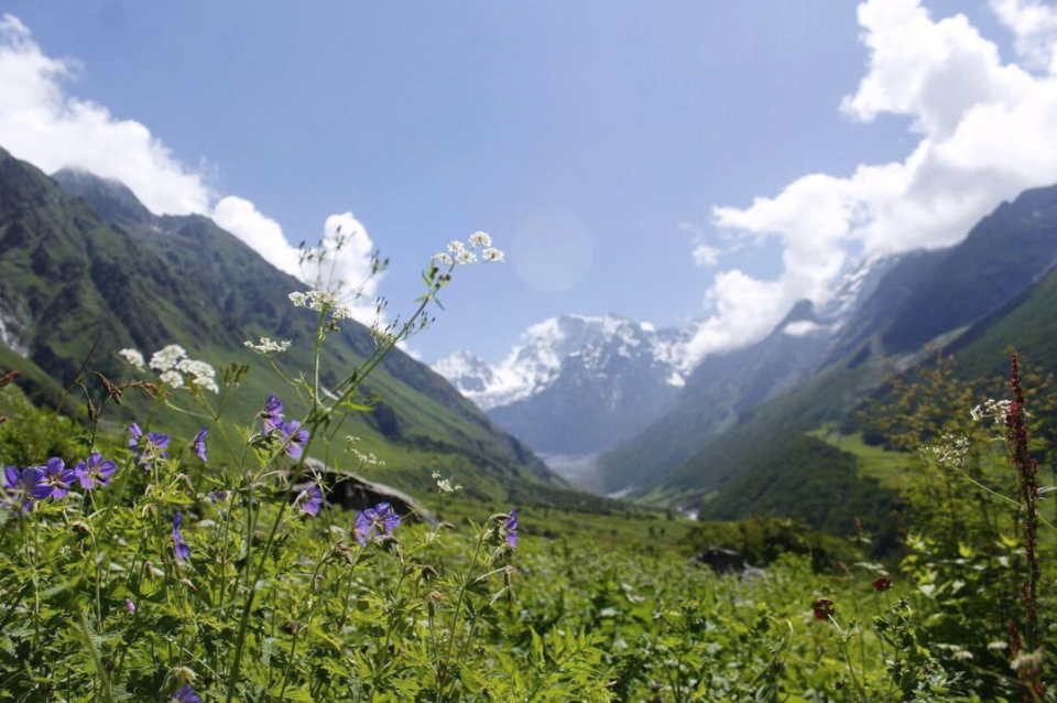 Photo of Valley of Flowers , Hemkund Sahib, Shikhu Pur, Devpura, Haridwar, Uttarakhand, India by Sana Mahajan