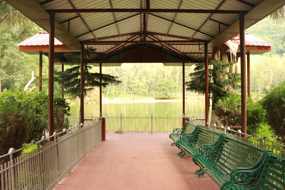 Photo of Best one day trips near Chandigarh by shytravellor