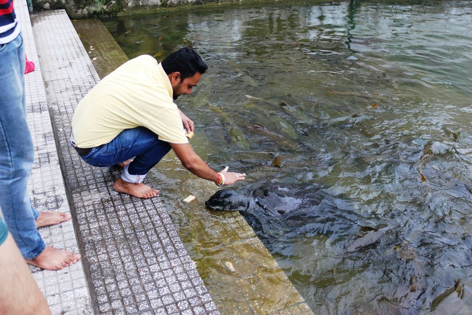 Photo of Best one day trips near Chandigarh by shytravellor