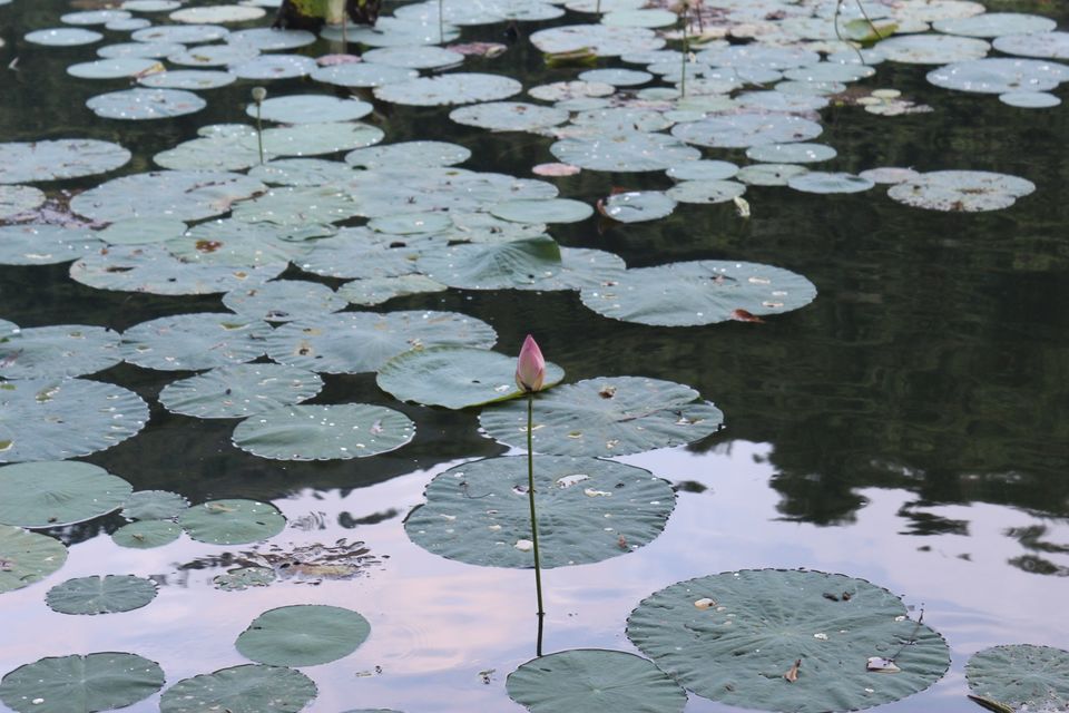Photo of Best one day trips near Chandigarh by shytravellor
