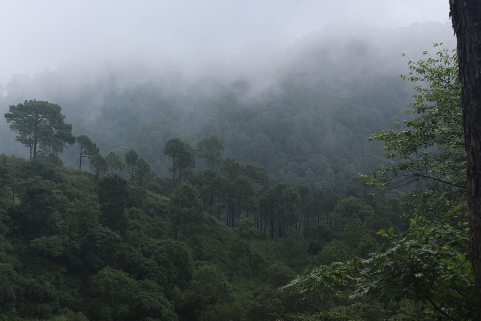 Photo of Banethi Forest Rest House, Banethi, Himachal Pradesh, India by shytravellor