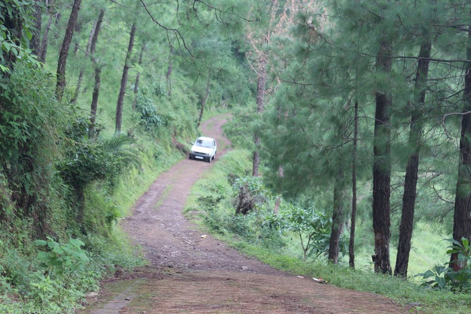 Photo of Banethi Forest Rest House, Banethi, Himachal Pradesh, India by shytravellor