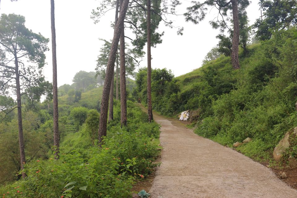 Photo of Banethi Forest Rest House, Banethi, Himachal Pradesh, India by shytravellor