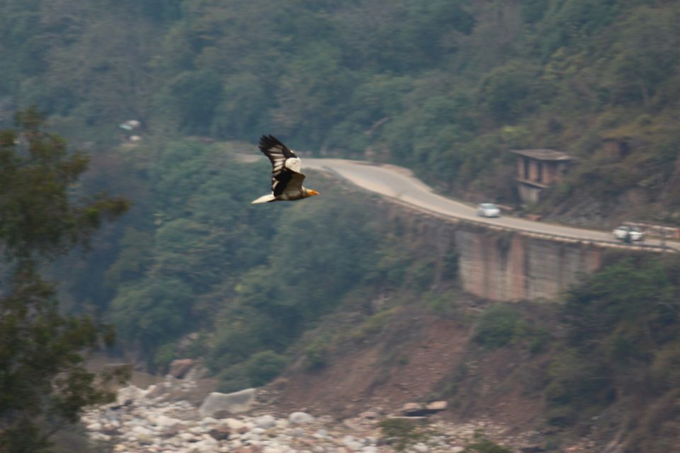 Photo of Pong Dam, Himachal Pradesh, India by Anoop Aswal