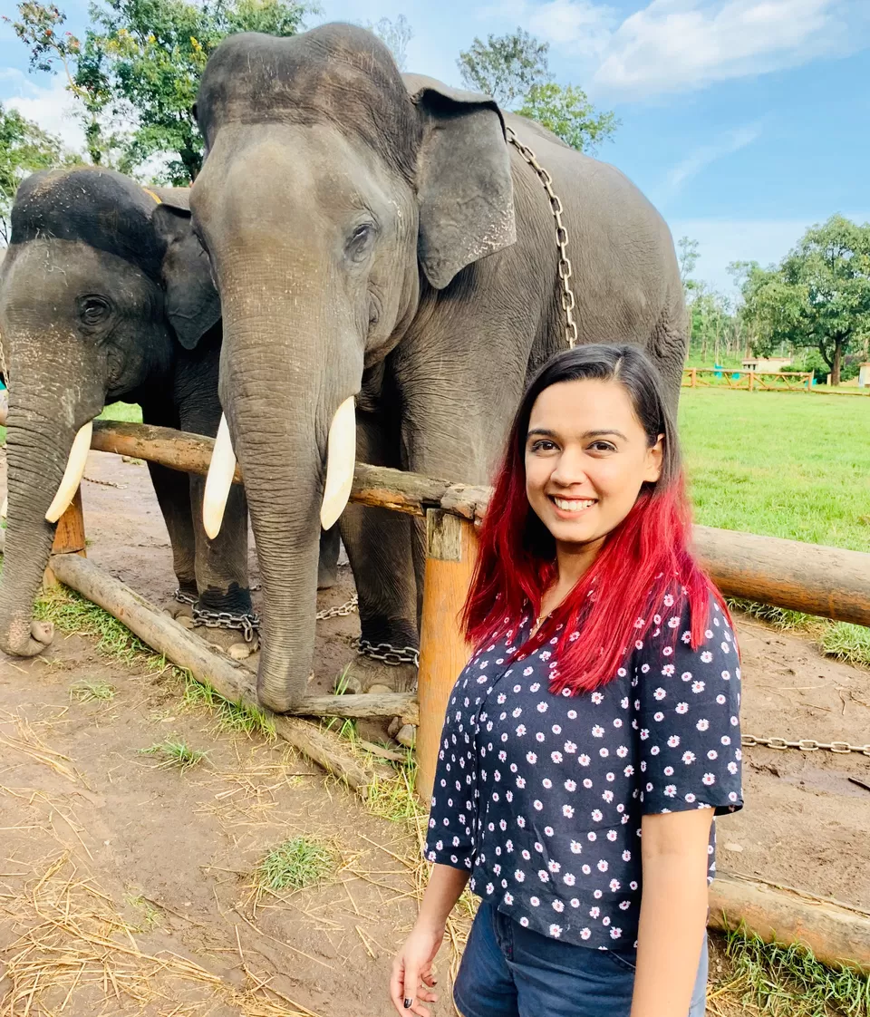 Photo of Dubare Elephant Camp, Nanjarayapatna, Karnataka, India by Mahima Gupta
