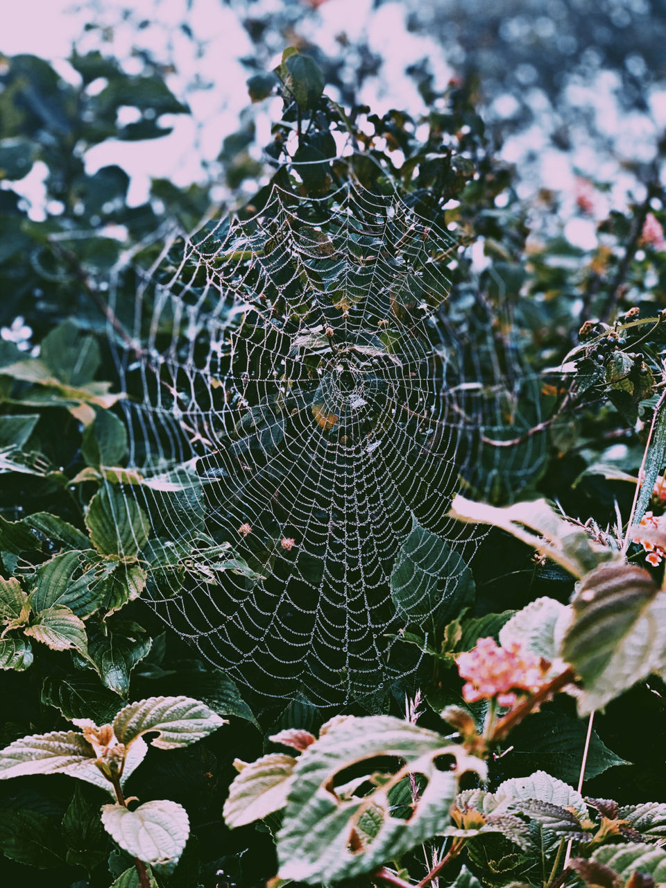 Photo of A Spooky Appealed Night Trek: Skandagiri by Mahima Gupta
