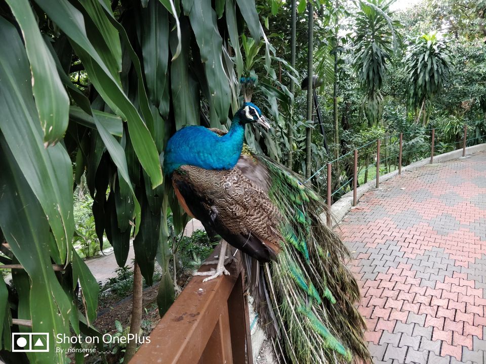 Photo of Brickfields, Kuala Lumpur, Federal Territory of Kuala Lumpur, Malaysia by Yash Chaudhry