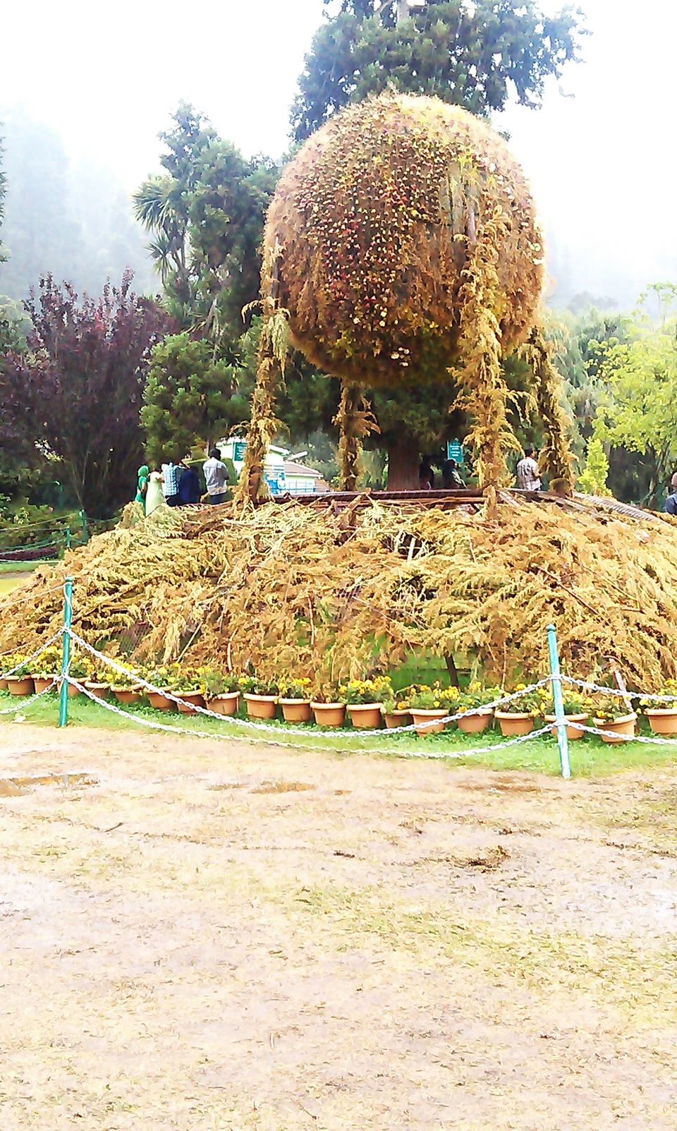 Photo of The crazy trip to Ooty and Back 7/19 by ..