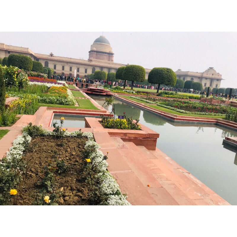 Photo of Mughal Gardens Delhi, Gate No. 35, Rashtrapati Bhawan, Rashtrapati Bhavan, New Delhi, Delhi, India by Vanshika Oberoi