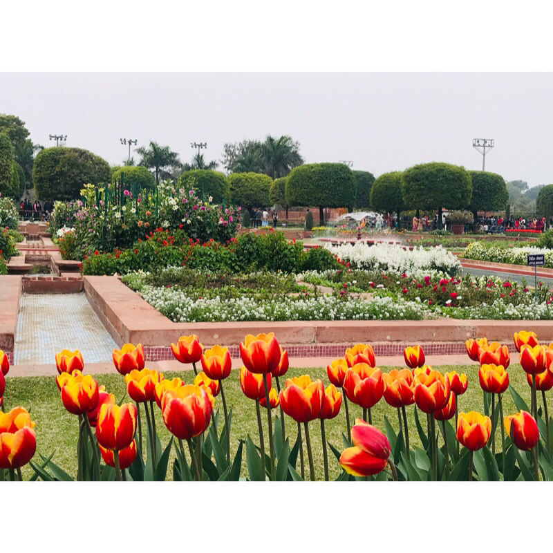 Photo of Mughal Gardens Delhi, Gate No. 35, Rashtrapati Bhawan, Rashtrapati Bhavan, New Delhi, Delhi, India by Vanshika Oberoi