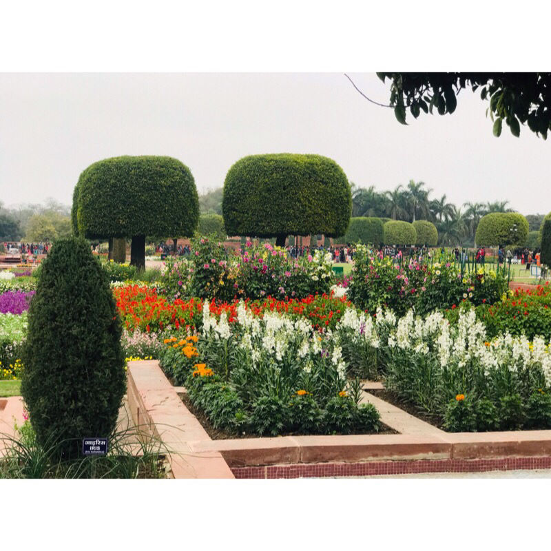 Photo of Mughal Gardens Delhi, Gate No. 35, Rashtrapati Bhawan, Rashtrapati Bhavan, New Delhi, Delhi, India by Vanshika Oberoi