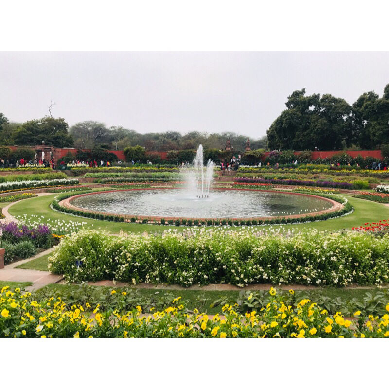 Photo of Mughal Gardens Delhi, Gate No. 35, Rashtrapati Bhawan, Rashtrapati Bhavan, New Delhi, Delhi, India by Vanshika Oberoi