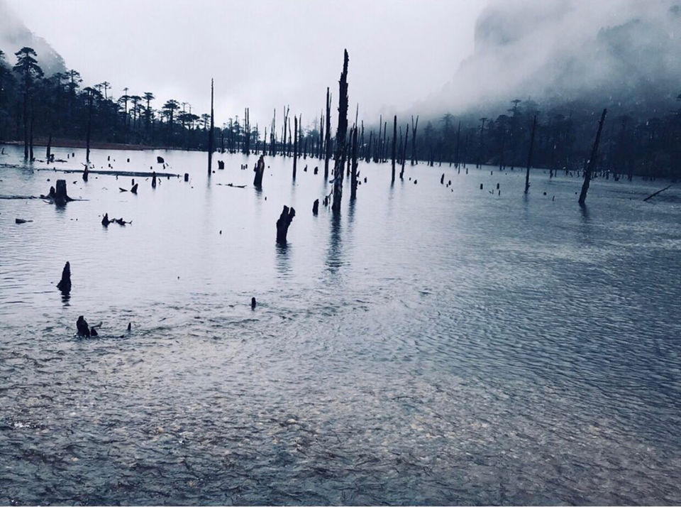 Photo of Arunachal Has My Heart by Vanshika Oberoi