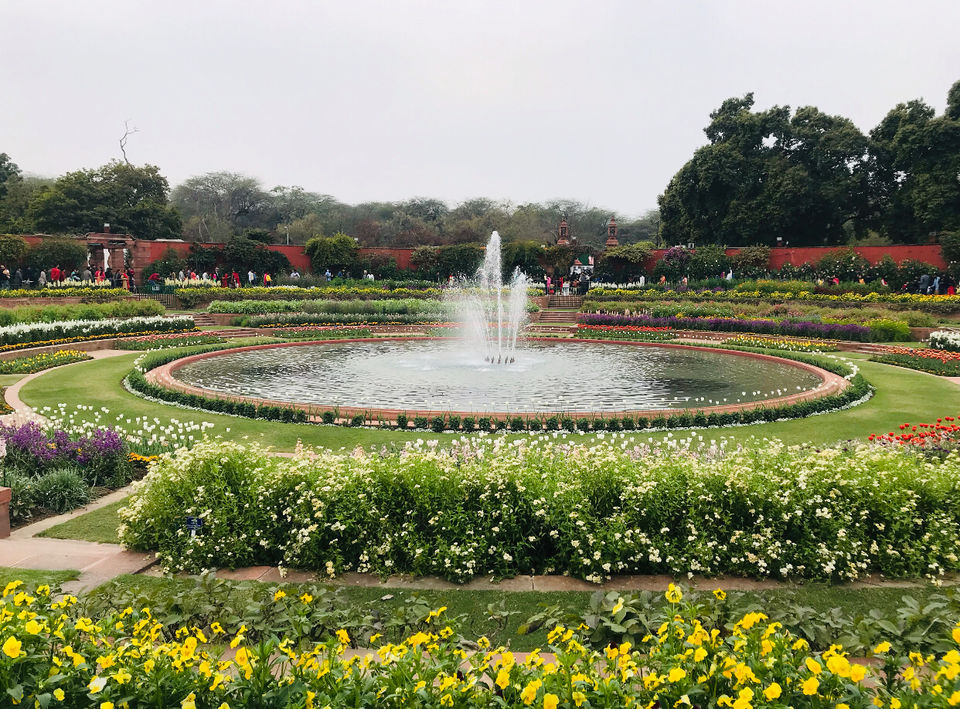 Photo of My Sunday Afternoon in Mughal Gardens by Vanshika Oberoi