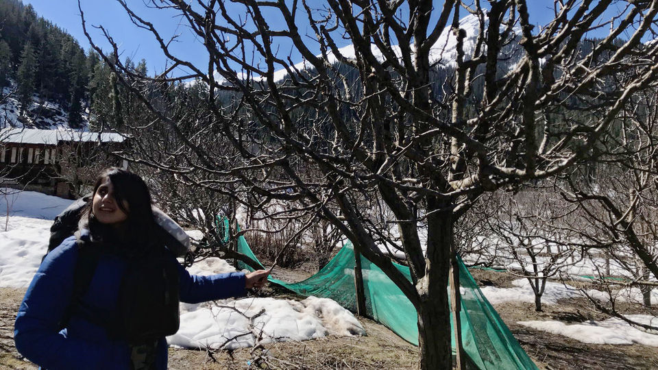 Photo of Our First Day in Kalga by Vanshika Oberoi