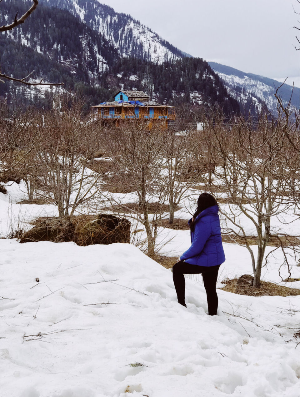 Photo of Kalga Village - The Place To Be by Vanshika Oberoi