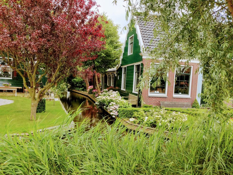 Photo of How I explored Amsterdam in just 15k by Preethika Pilinja