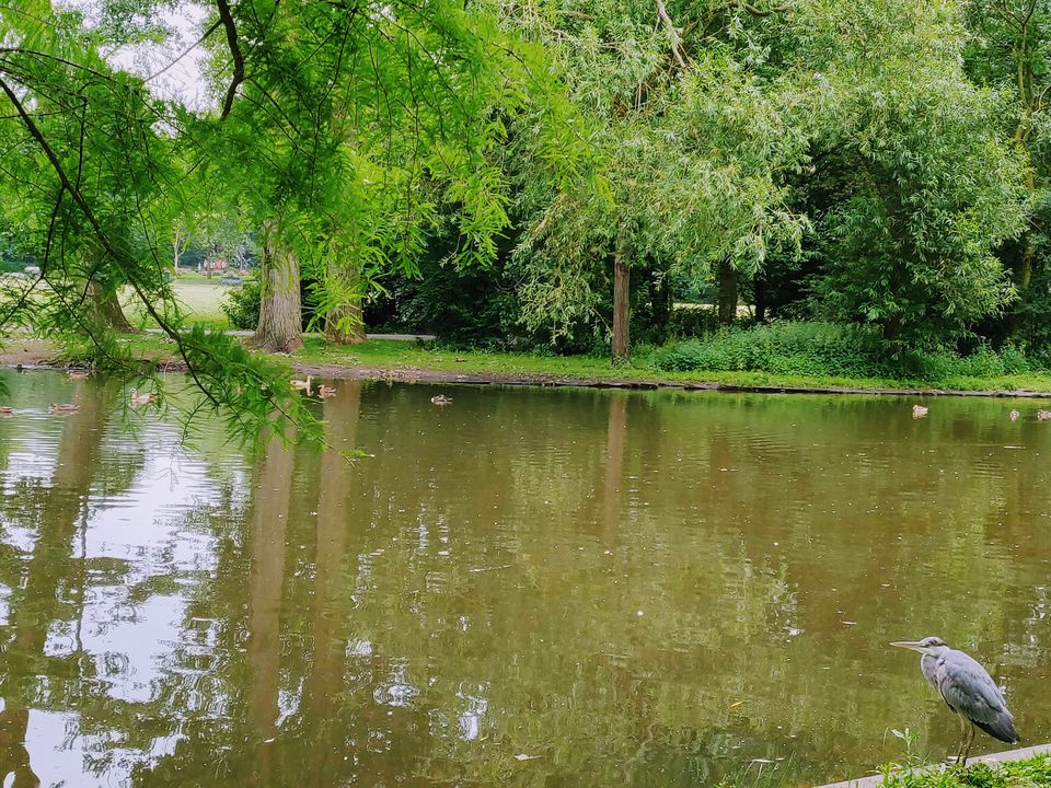 Photo of How I explored Amsterdam in just 15k by Preethika Pilinja