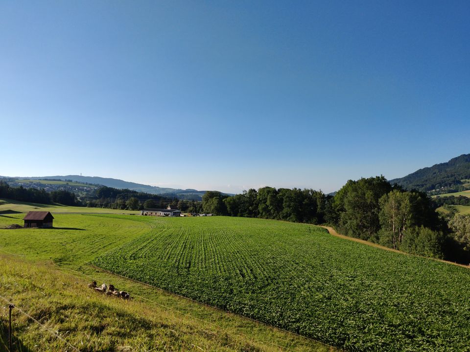 Photo of 7 Top Things to do in Switzerland for a Perfect Vacation! by Preethika Pilinja