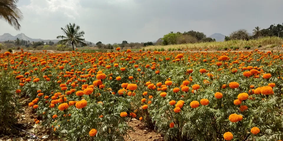 Photo of Avalabetta Hill Top View Point, Yerramaranahalli, Karnataka, India by Carl Johnson