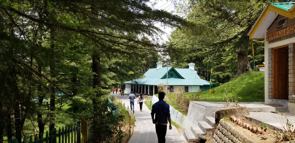 Photo of Kalatop, Himachal Pradesh, India by Tushar Chhetri