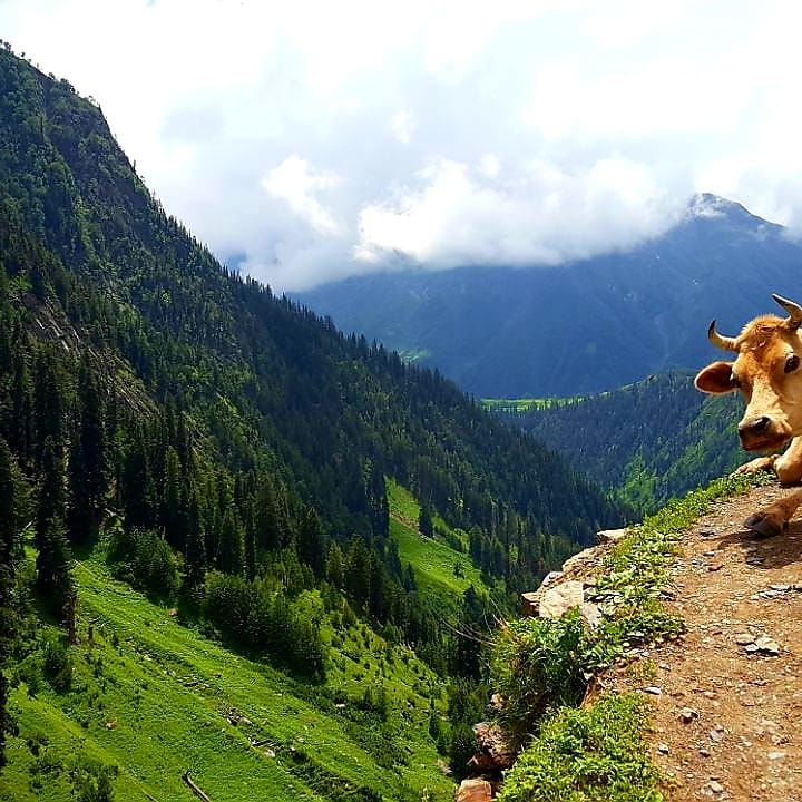 Photo of Weekends in Chamba Weekend 3: Travel journey to Lord Shiva Resident-Manimahesh 4/15 by Tushar Chhetri