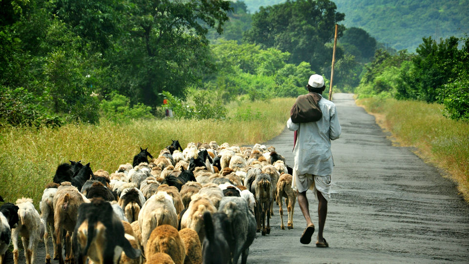Photo of Mahad, Maharashtra, India by Abhishek Pardeshi