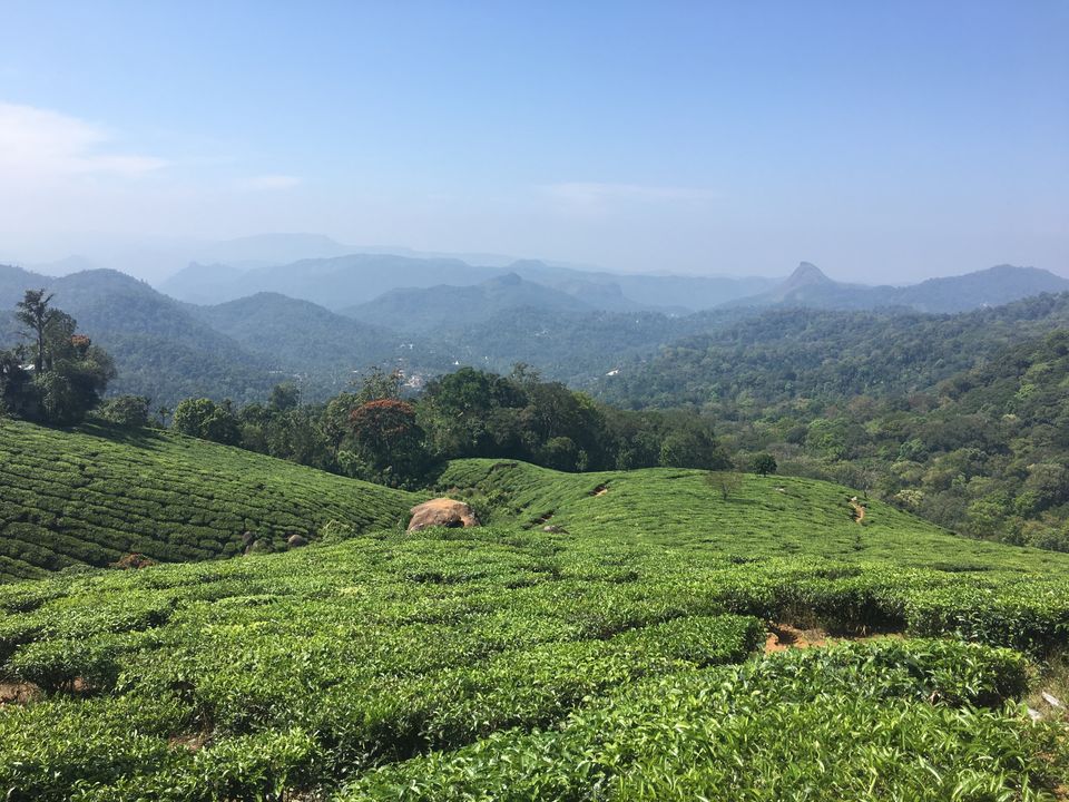 Photo of Munnar, Kerala, India by Cocoa & Jasmine