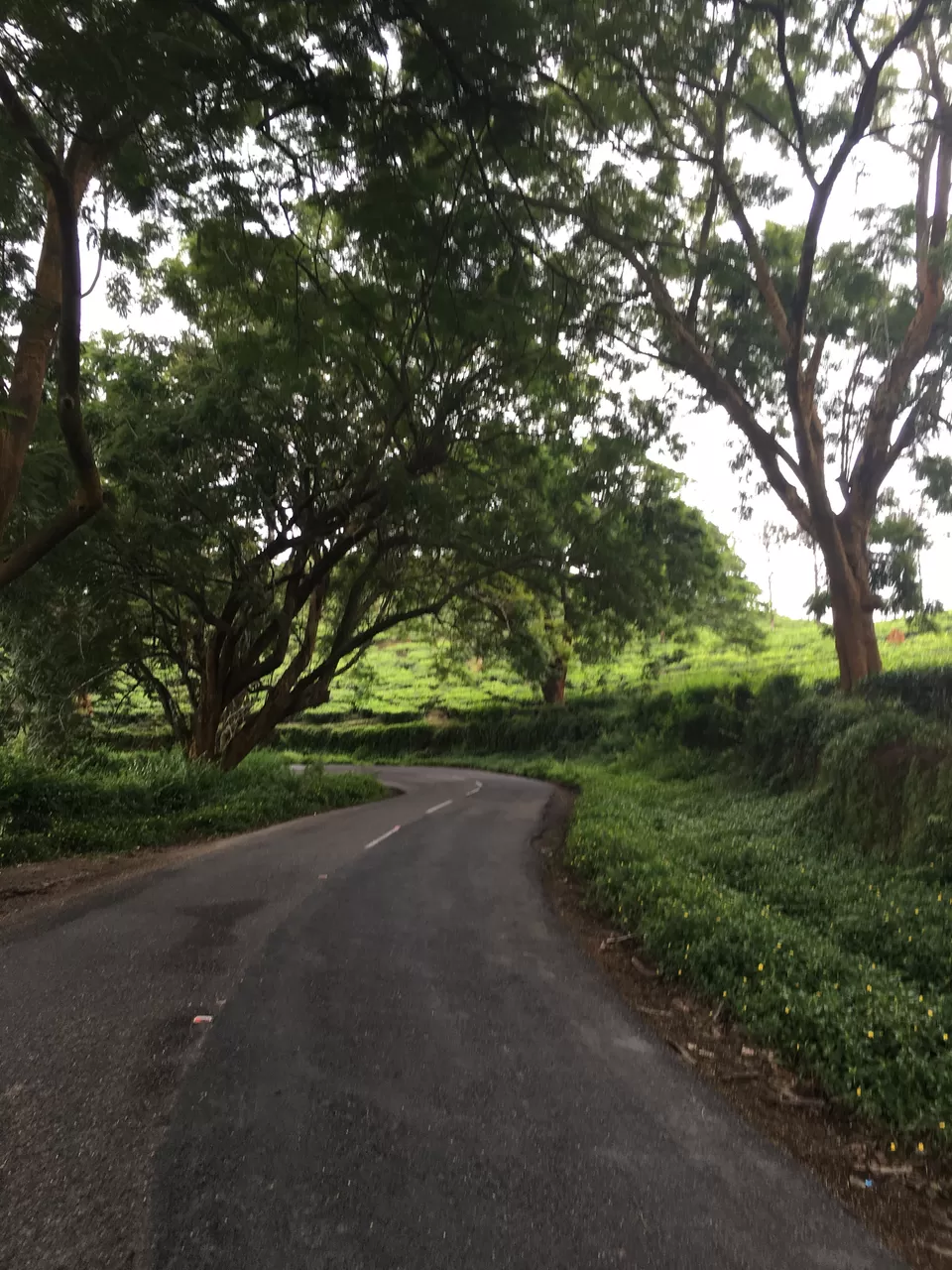 Photo of Coonoor, Tamil Nadu, India by Cocoa & Jasmine