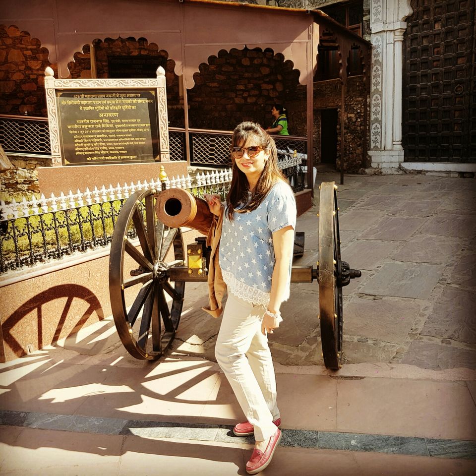 Photo of Stay Calm and Enjoy Udaipur !! by Upasana Venaik