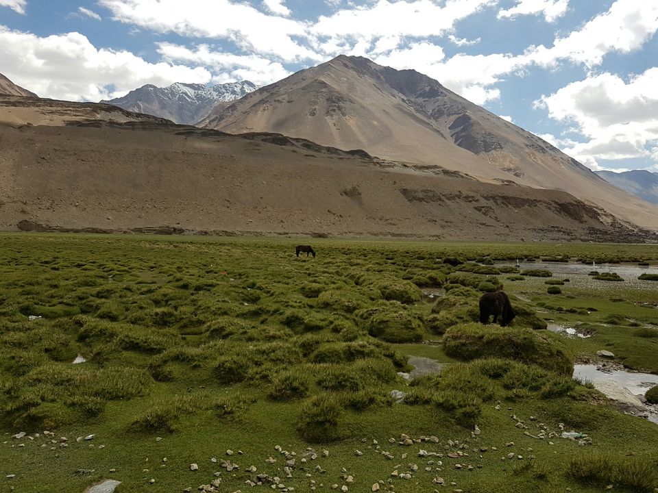 Photo of Pangong Tso by Upasana Venaik