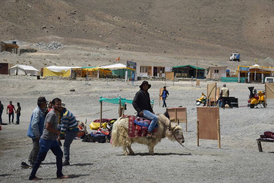 Photo of Pangong Tso by Upasana Venaik