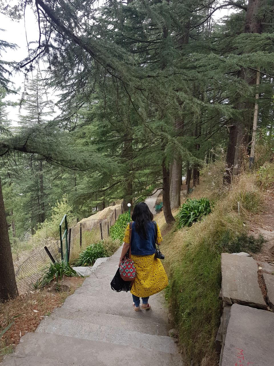 Photo of International Roerich Memorial Trust (IRMT), Kullu, Himachal Pradesh, India by Upasana Venaik