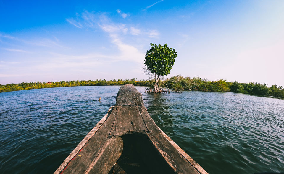 Photo of A voyage to the vanishing Islands! #TheBlues 2/4 by Sarath Sreekantan